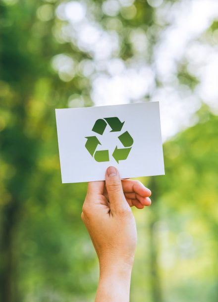 Developing sustainable CO2 Ideas for Sustainable development and green business based renewable energy and can limit climate change, climate, global warming
